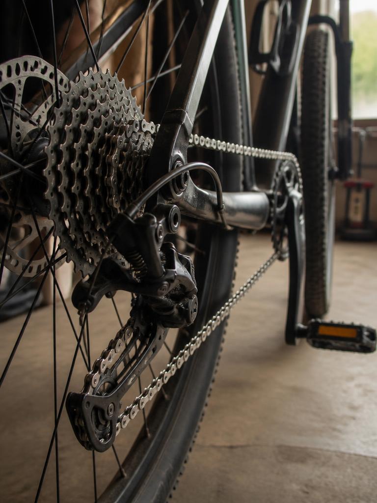 Cleaned the bike chain